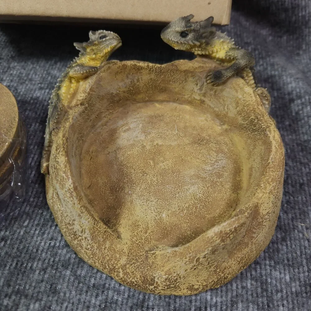 New Bearded Dragon Lizard Coasters Set of 4 Realistic Lizard Decor